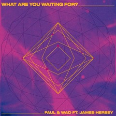 Faul & Wad, James Hersey - What Are You Waiting For