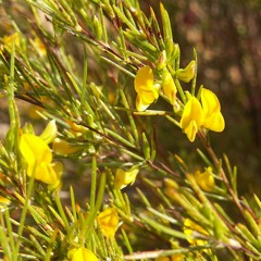 🌸Chill the ef out🌸 - 5