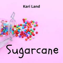 Kari Land