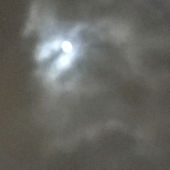 Metanoia - 03.06.18.11.49 MA