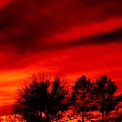 Guess - Jose (prod. by AG)