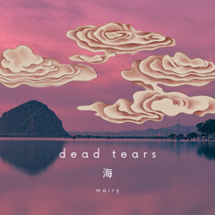 Mairy - Dead Tears (prod.Moon)