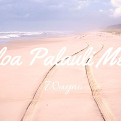 Vailoa Palauli Medley