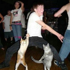 Fantastic Playlist: It's Just Another Fucking Cat