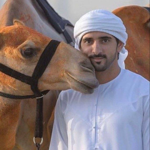 الجازي🥇 - مسفر السندوانه