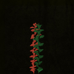 Momoko Gill - When Palestine Is Free