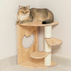 PETOMG's Affordable And Irresistible Cat Steppers