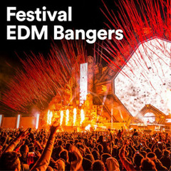 Festival EDM Bangers 2024