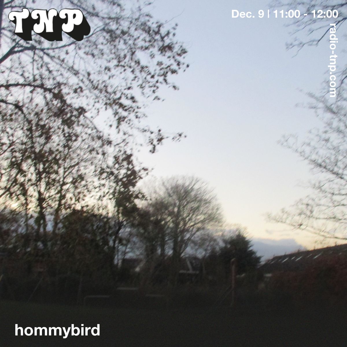 hommybird