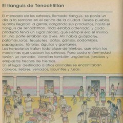 El Tianguis De Tenochtitlan