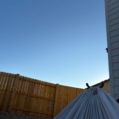 thoughts from the hammock
