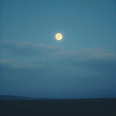 Purple LoFi Beats - Rusty Bike Rides [lofi hiphop/chill beats] (Royalty Free)