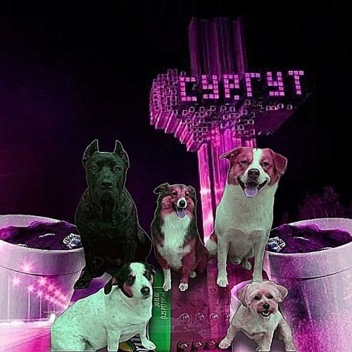 SURGUT MOST VALUABLE PLAYER