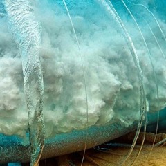 Welcome the Feedback and a Discourse on Noise