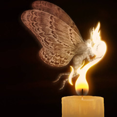 Moth To A Flame (self-written) - Anne Pronk