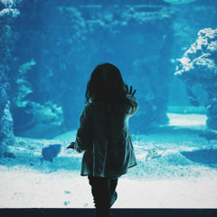 水底の姫