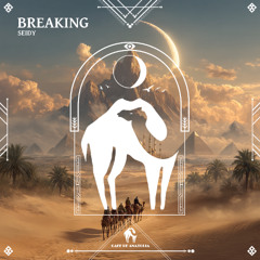 Seidy - Breaking [Cafe De Anatolia]