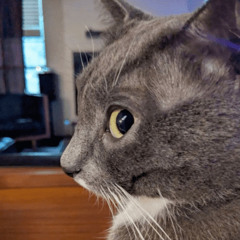 Earthside - But What If We're Wrong