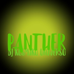 Panther Promo 21 Enero Spotify itunes Youtube Tiktok