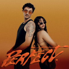 Perfect vs Feliz (Afro Mashup).mp3