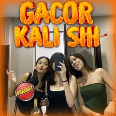BASS GACOR TERBARU 2025 BY PUASBET
