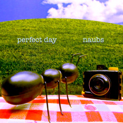 perfect day