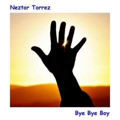 Bye Bye Boy