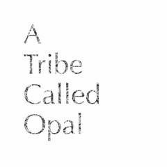 A Tribe Called Opal 21.12.2019, Mixed by BioKat