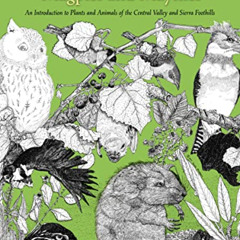FREE EPUB 🖌️ Magpies and Mayflies: An Introduction to Plants and Animals of Central