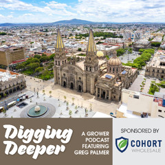 Greg Palmer evaluates trade potential in Mexico