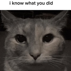 Sasuke x medicine bottle