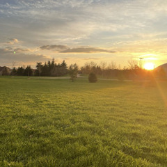 park! prod. navey x m3ry