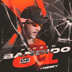 ' PICZIN DE BANDIDO 01 ( DJ WERIKY ) MC'S CK DO SD, SACI, HEITOR & TETEU