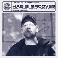 House Saladcast 703 | Habibi Grooves