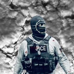 Temu Cop