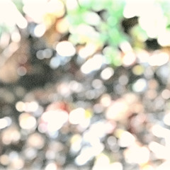 riverhead / irukanotane＆mizumaya feat.足立レイ・旭音エマ・名前シレズ