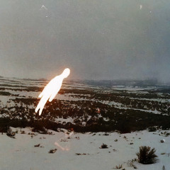 Desert Trees - Your Ghost In Me - 04 Bugs