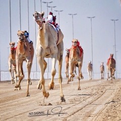 A7md