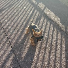 votaká ( mc baby jc & mc timbu)