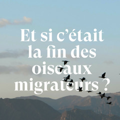 Et si c'était la fin des oiseaux migrateurs ?