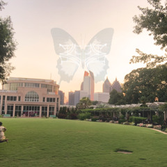 I Feel My Mother's Pain