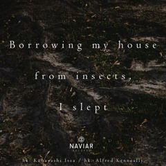 haiku #374: Borrowing my house / from insects, / I slept