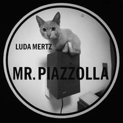 Luda Mertz- Mr.Piazzolla