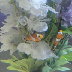 💌❤️‍🩹 내 취향 느좋플리