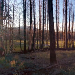 Dawn Ambience -- Lassen Volcanic National Park, California, U.S.A.