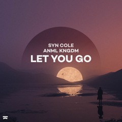 Syn Cole & ANML KNGDM - Let You Go