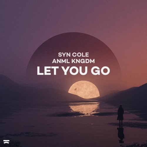 Syn Cole & ANML KNGDM - Let You Go