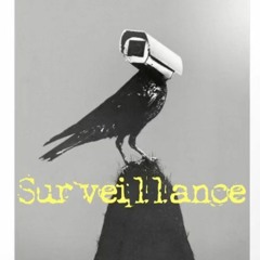 Surveillance