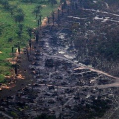 Niger oil curse funk, bring in the Delta Avengers