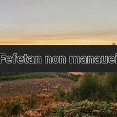 Fefetan non manauei (Cover)
